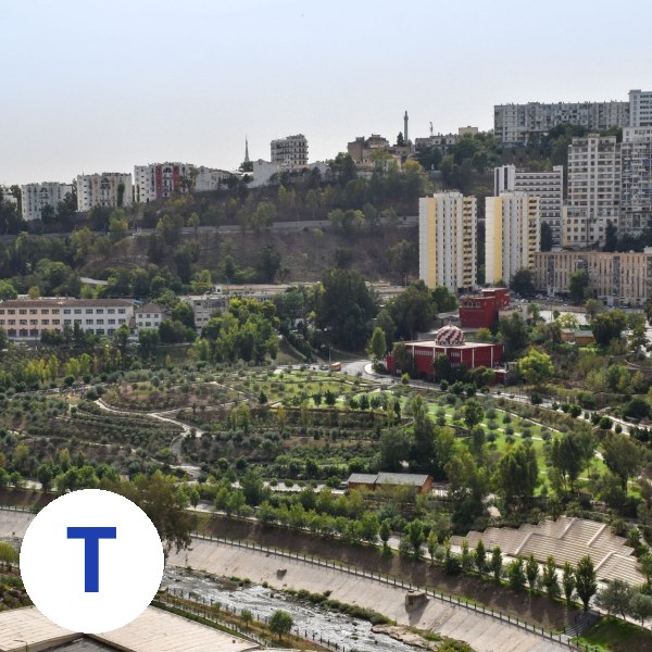 Tadjeddine