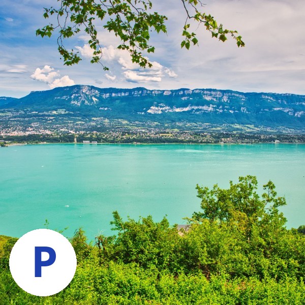 Pierre