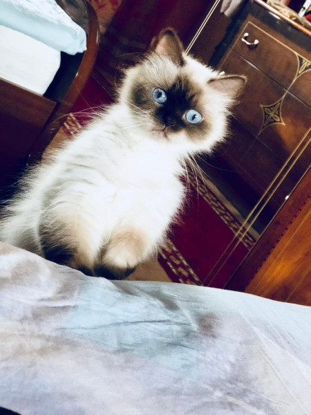 Vicki